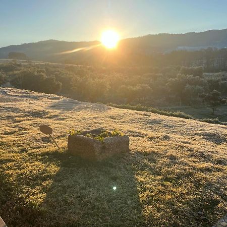 Quinta Dos Cedros L Turismo Rural 코빌라 외부 사진