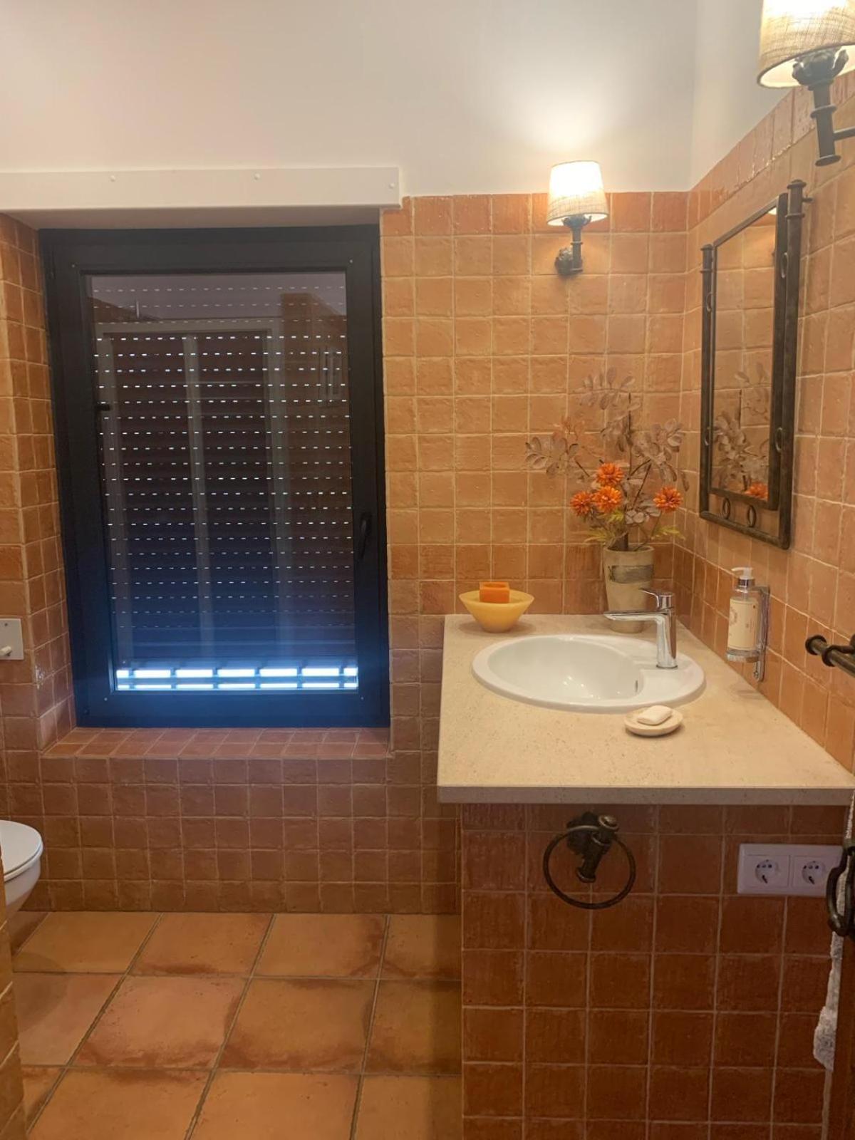 Quinta Dos Cedros L Turismo Rural 코빌라 외부 사진