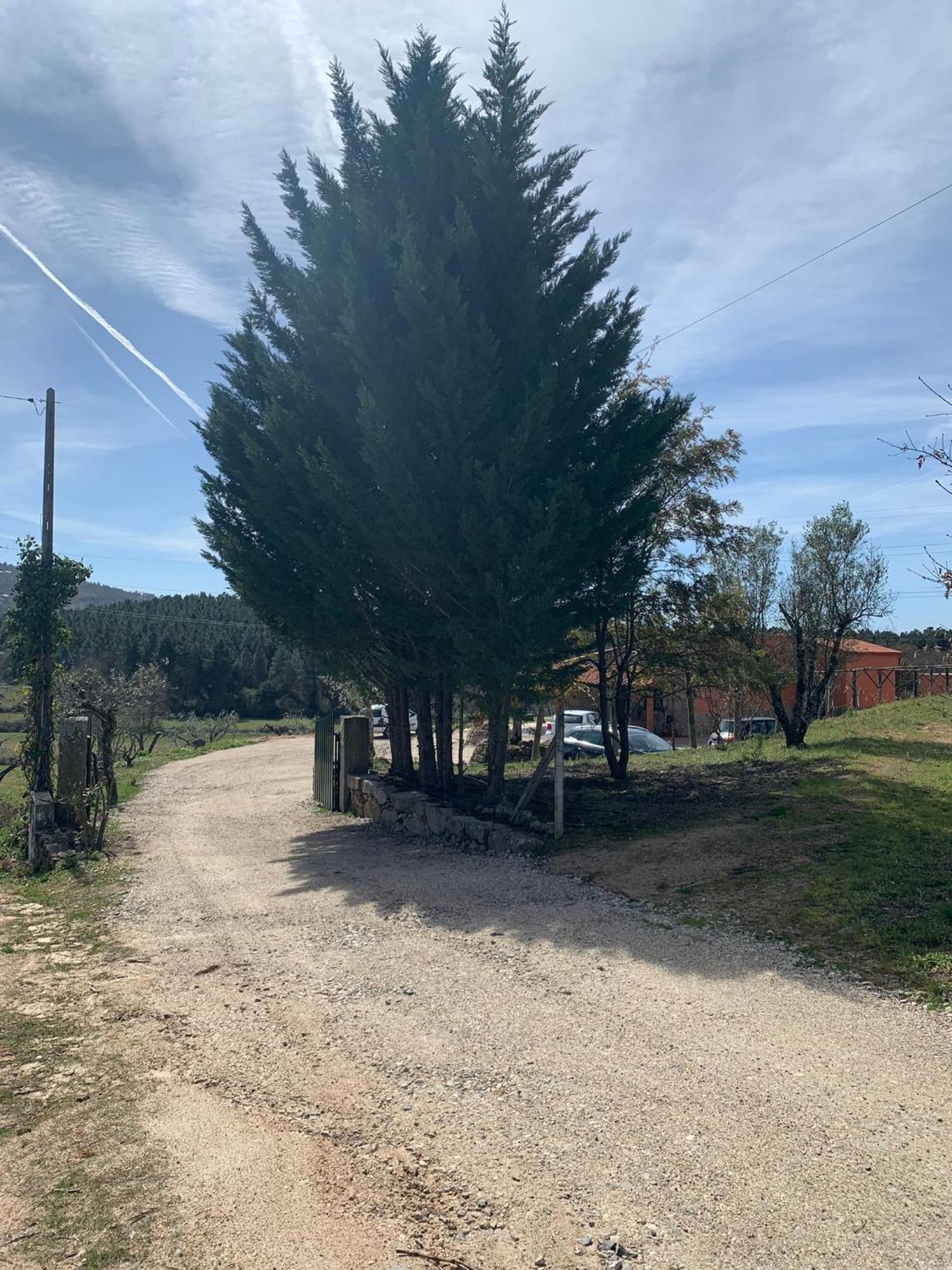 Quinta Dos Cedros L Turismo Rural 코빌라 외부 사진
