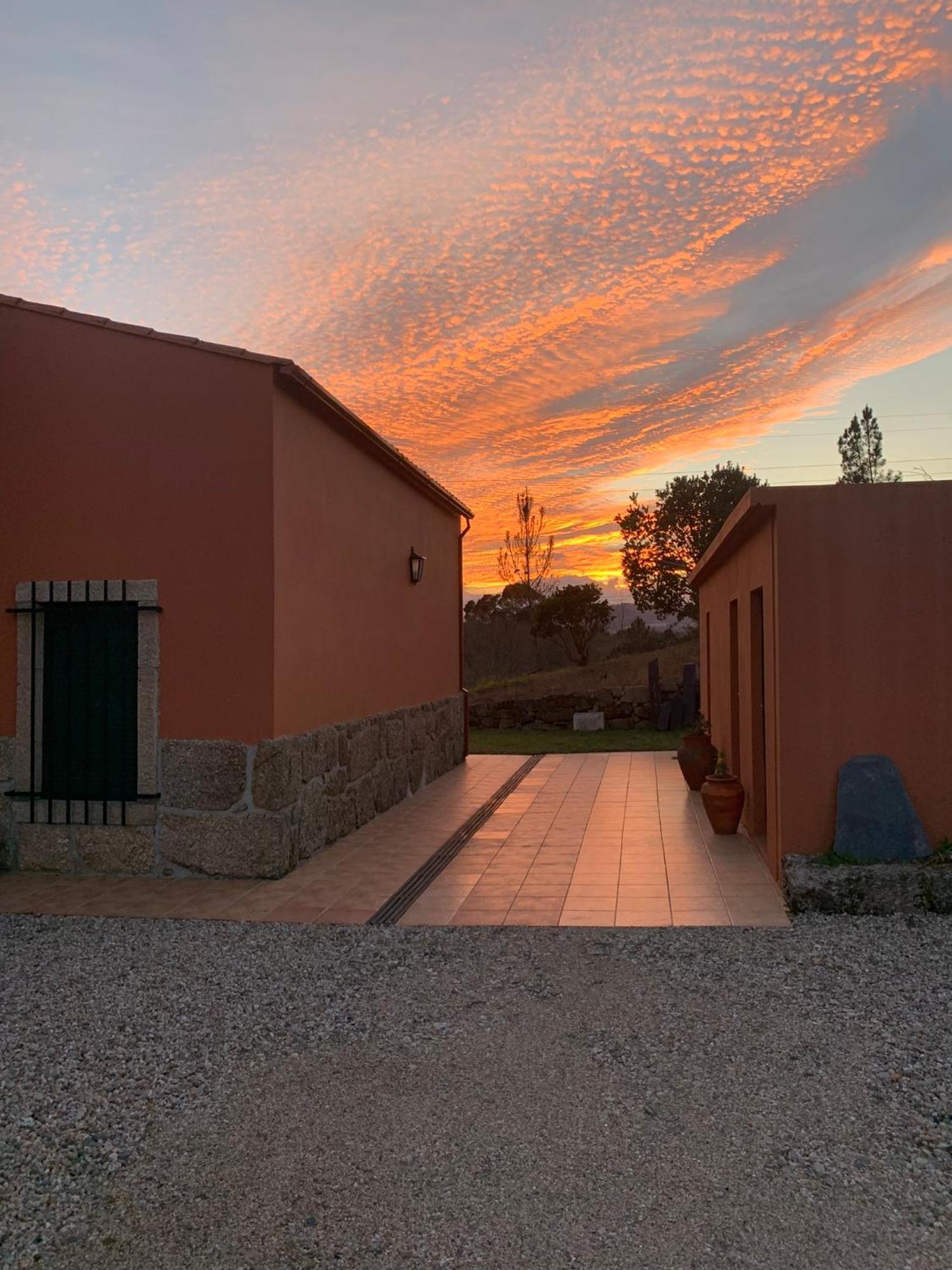 Quinta Dos Cedros L Turismo Rural 코빌라 외부 사진