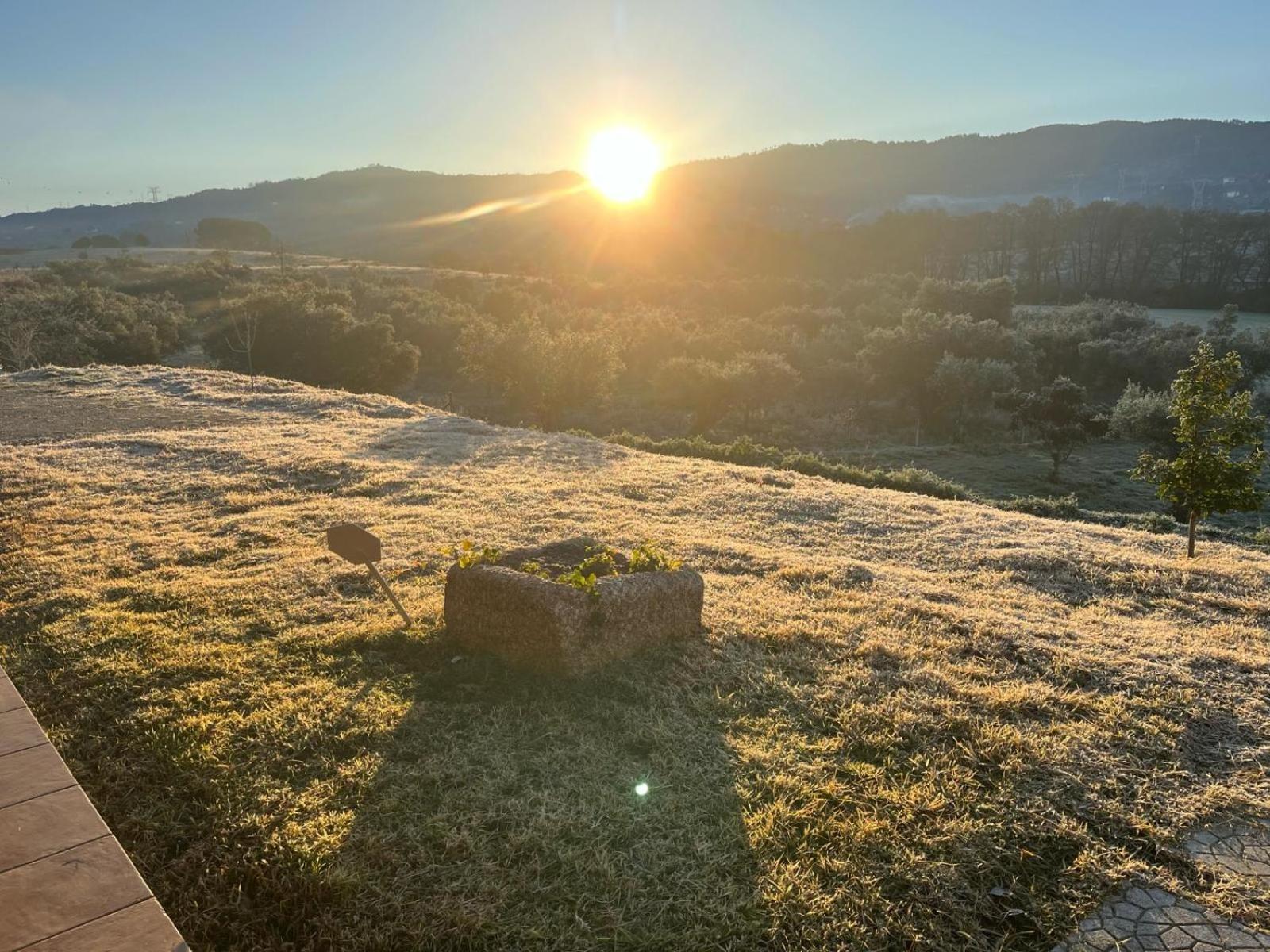Quinta Dos Cedros L Turismo Rural 코빌라 외부 사진